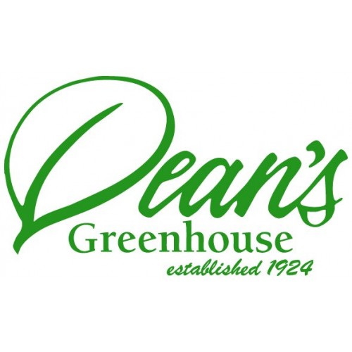 20 - $10 Gift Card