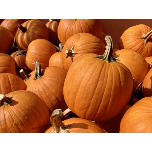 19 - Carving Pumpkin